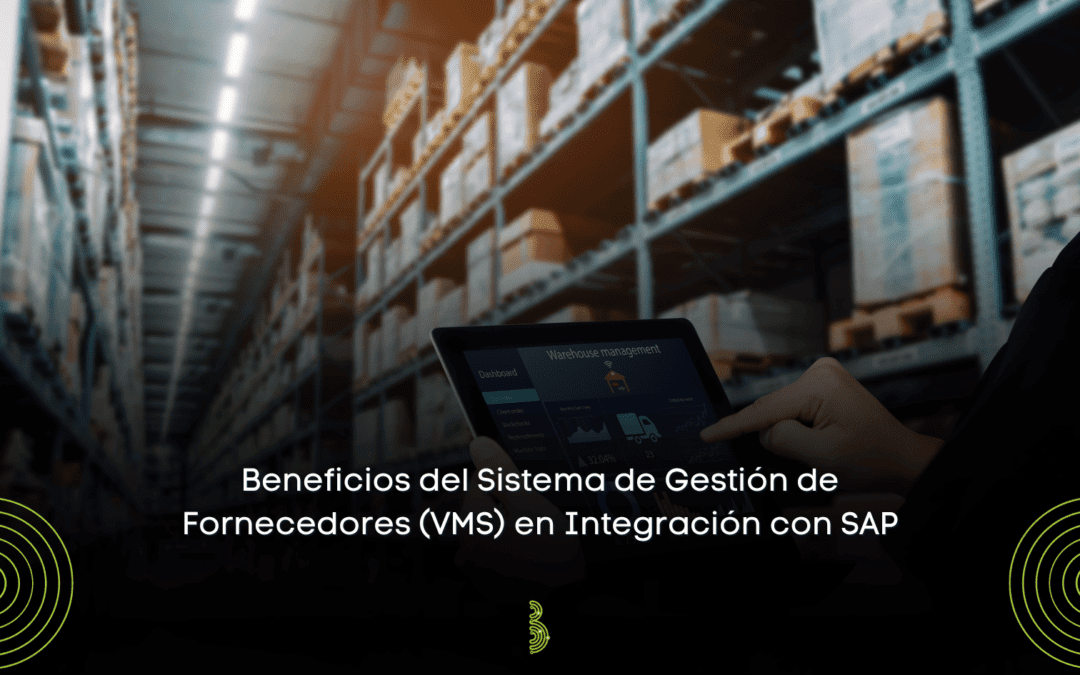 Beneficios del Sistema de Gestión de Fornecedores (VMS) en Integración con SAP